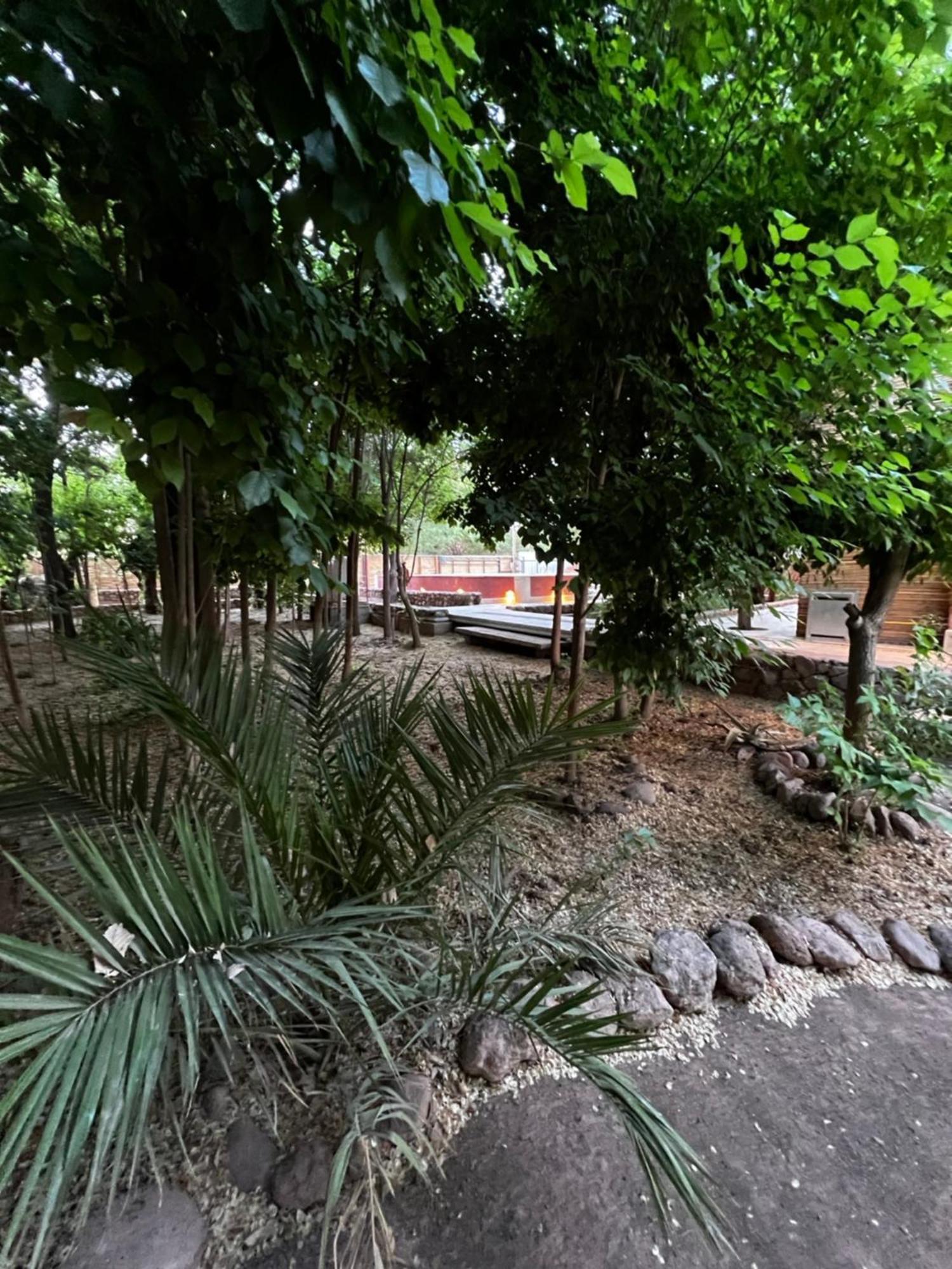Foresta Atacama Lodge Σαν Πέδρο ντε Ατακάμα Εξωτερικό φωτογραφία