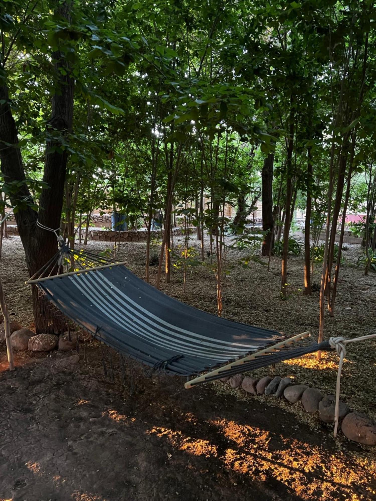 Foresta Atacama Lodge Σαν Πέδρο ντε Ατακάμα Εξωτερικό φωτογραφία